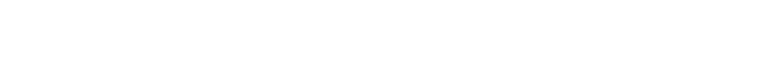FYNE Travel Logo